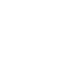 Heidelberg University seal